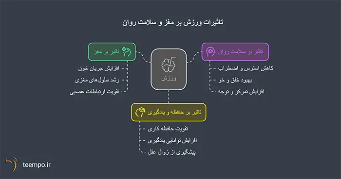 فواید ورزش برای مغز 